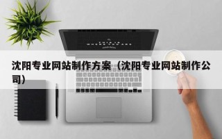 松原沈阳专业网站制作方案（沈阳专业网站制作公司）